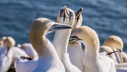 世界杯直播下载-中国代表团境外参赛奖牌总数创新高