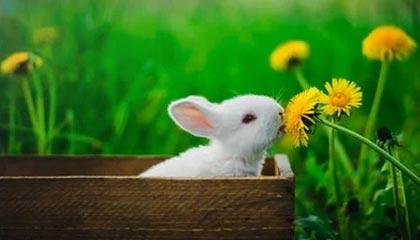 世界杯直播下载-中国代表团境外参赛奖牌总数创新高